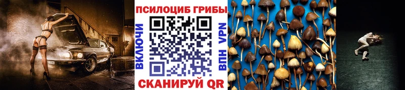 Галлюциногенные грибы Psilocybine cubensis  Весьегонск 